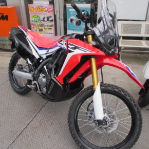 ホンダ　CRF250 RALLY Type LD入荷