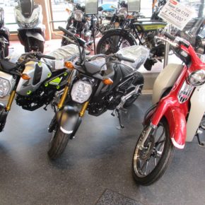 店頭在庫情報 店頭在庫情報