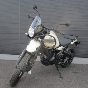 【入荷情報】